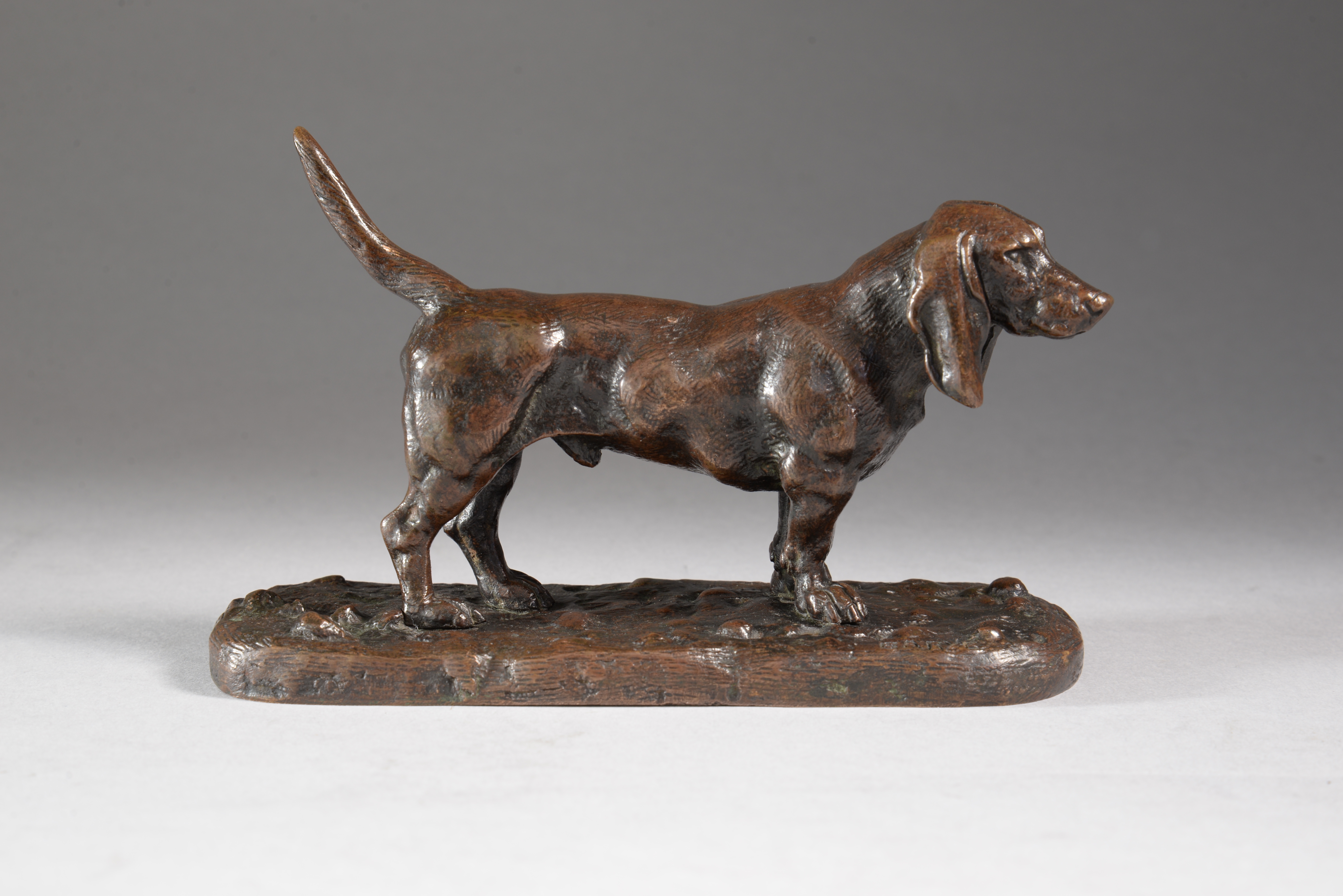 BASSET ANGLAIS N°2 (vers 1857)